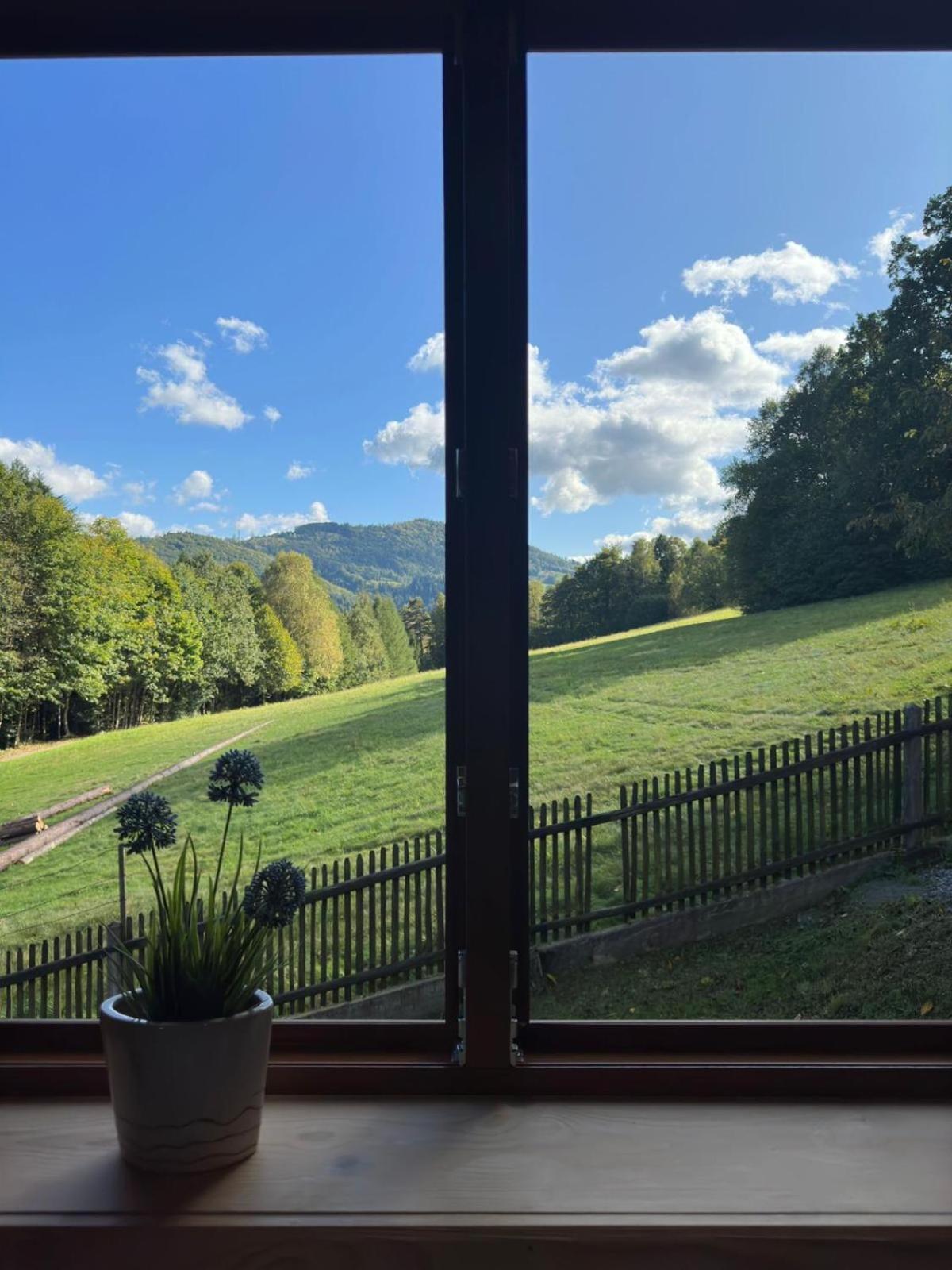 Domki Na Szlaku Brenna Exterior foto